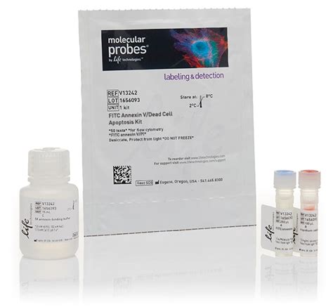 apoptosis detection elisa kit|invitrogen v13242.